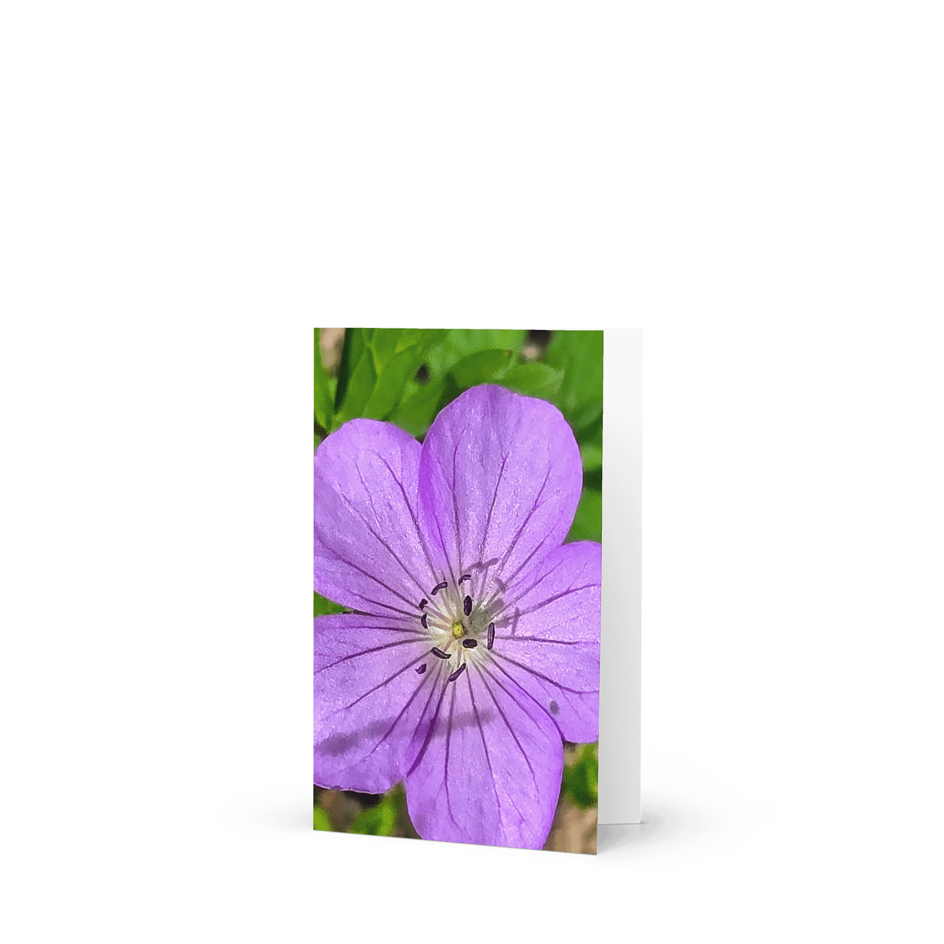 Purple Petals Greeting Card product image (1)