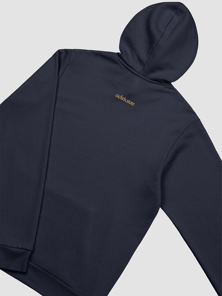 A Little dysfunctional Hoodie with cschris.store back logo product image (2)