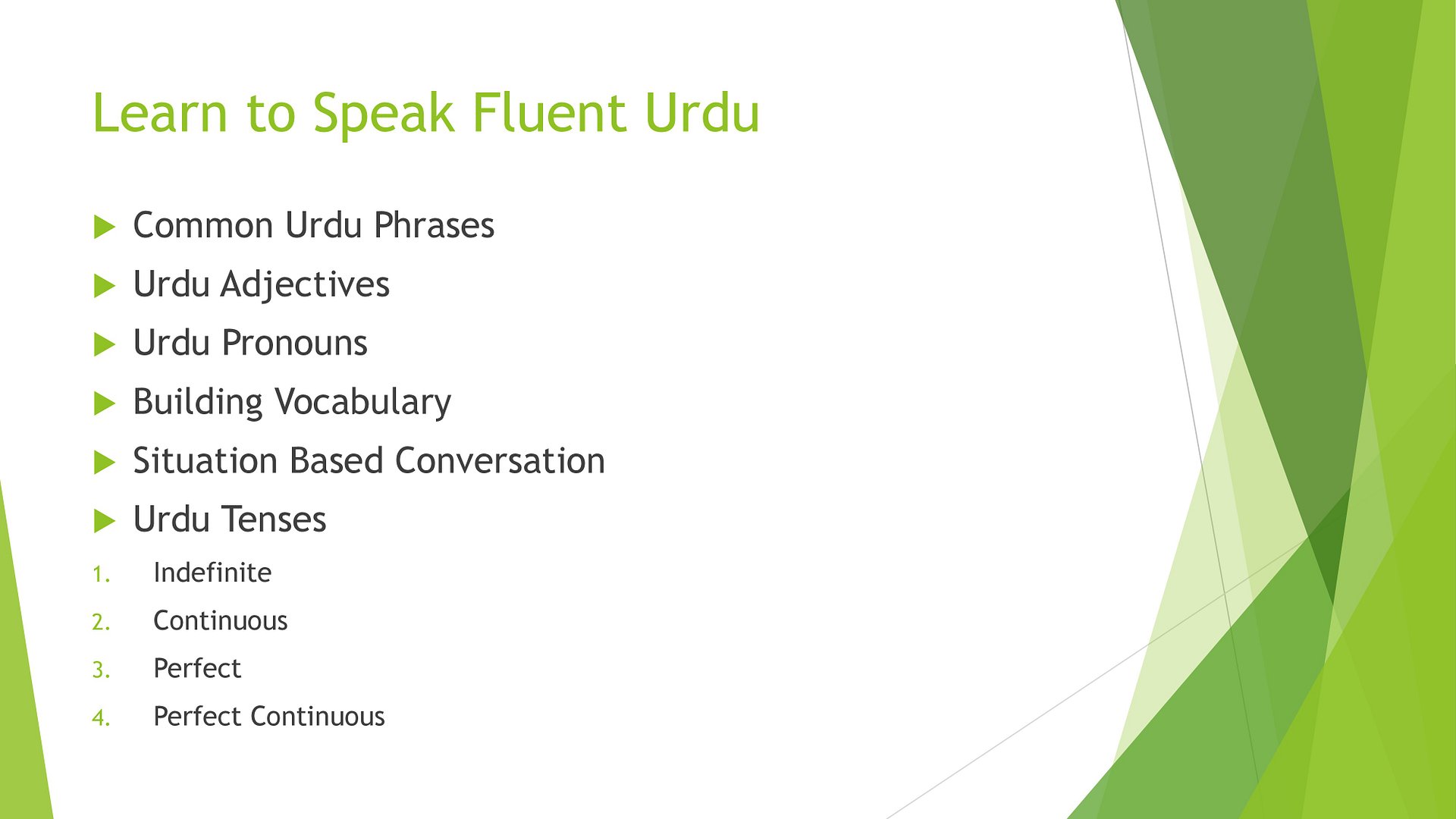 Introduction-Learn to speak fluent Urdu product image (1)