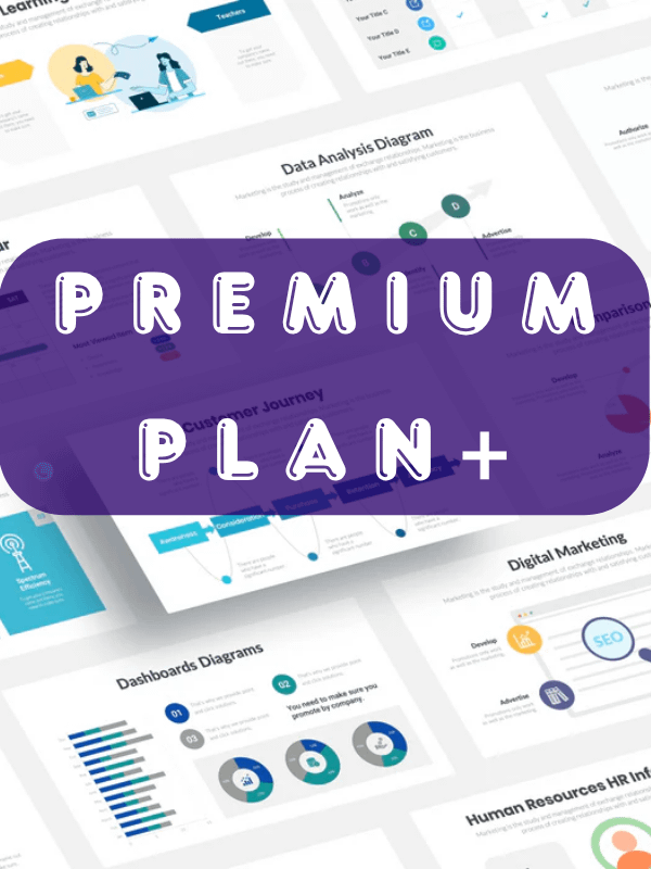 Premium Plan-3YEAR Pro product image (1)