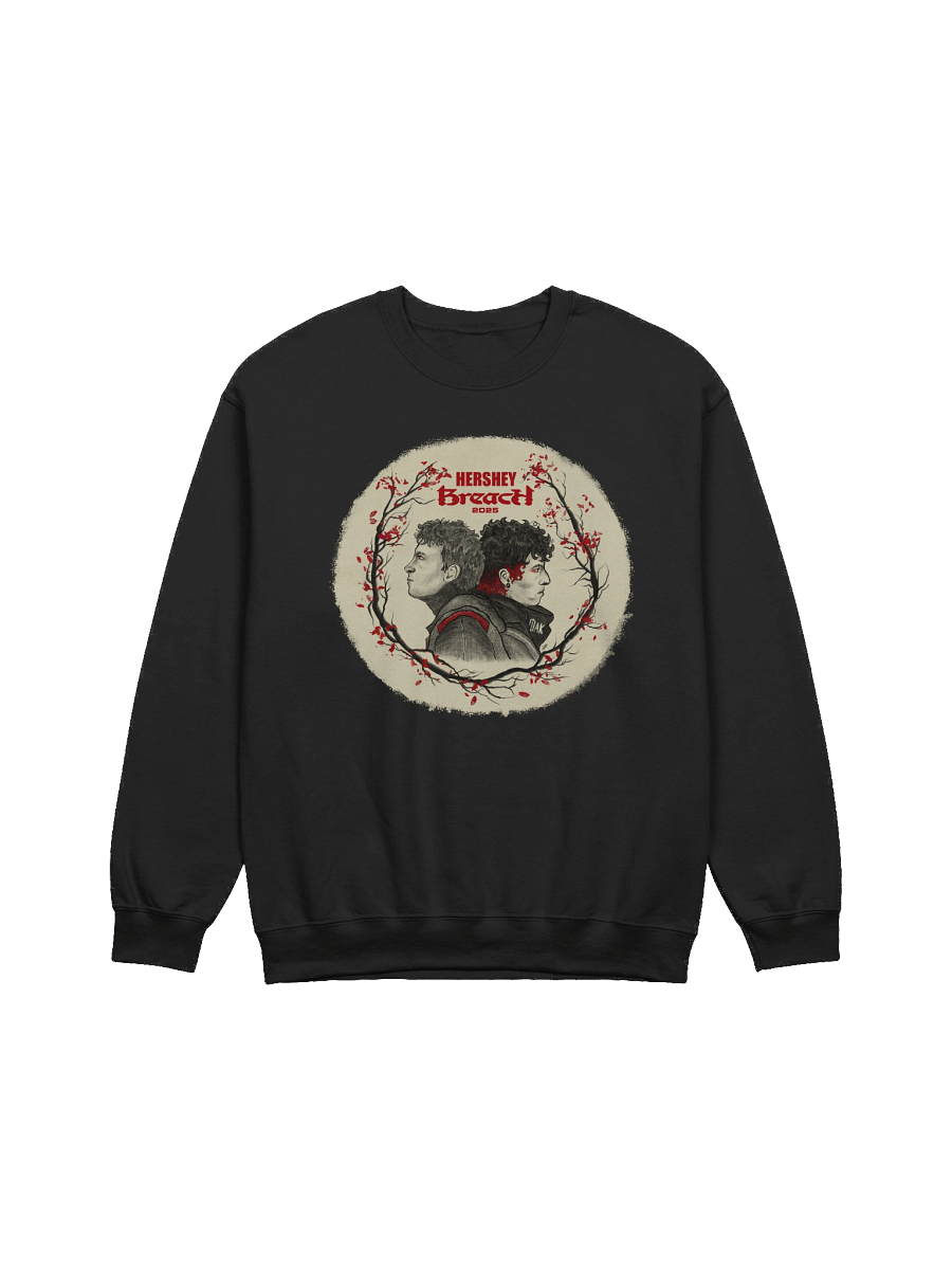 Breach Hersheypark Stadium Pullover product image (1)