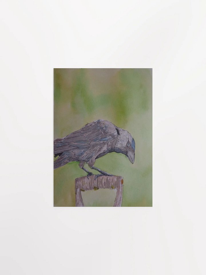 Corvid Series [06] Jackdaw poster print product image (1)