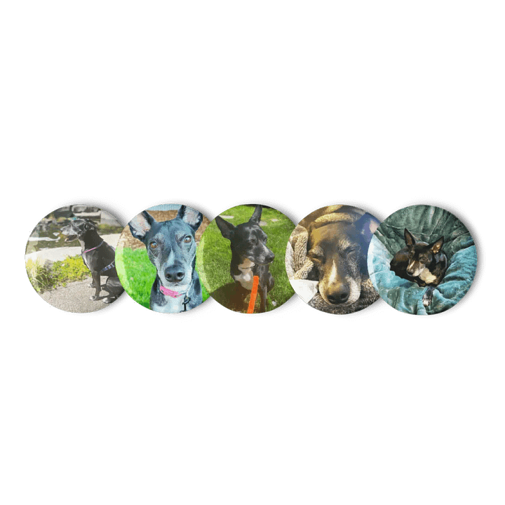 The Belle Badge Collection product image (1)