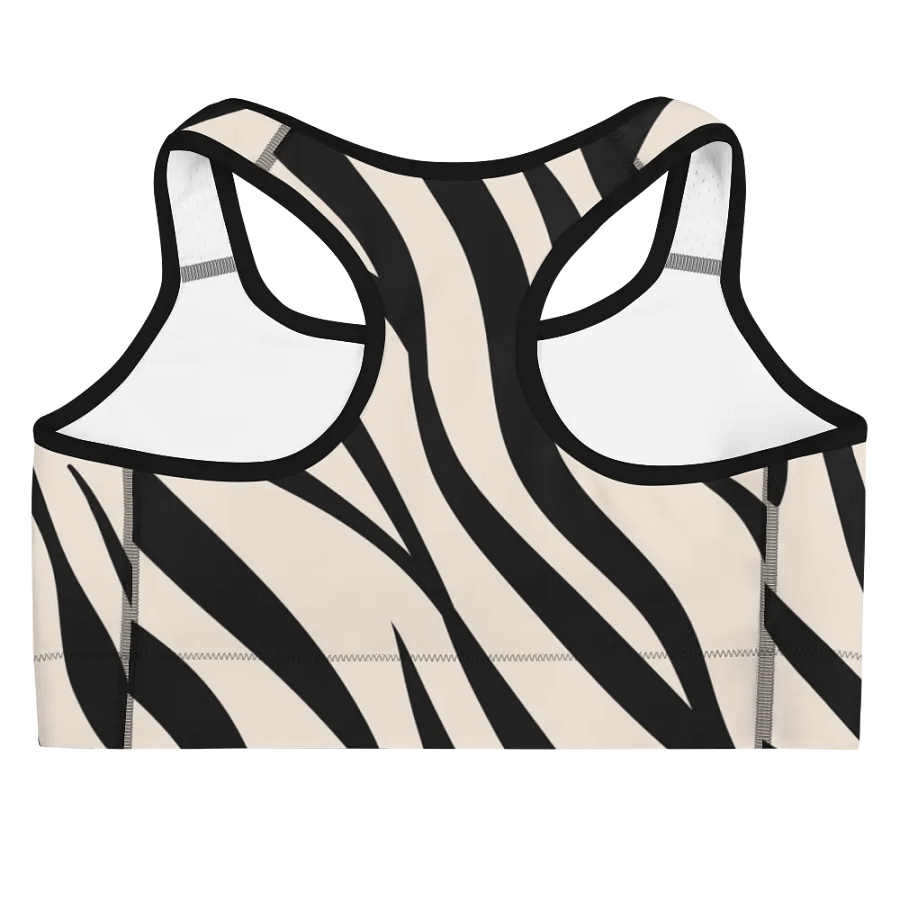 Tizzy Sports Bra product image (5)