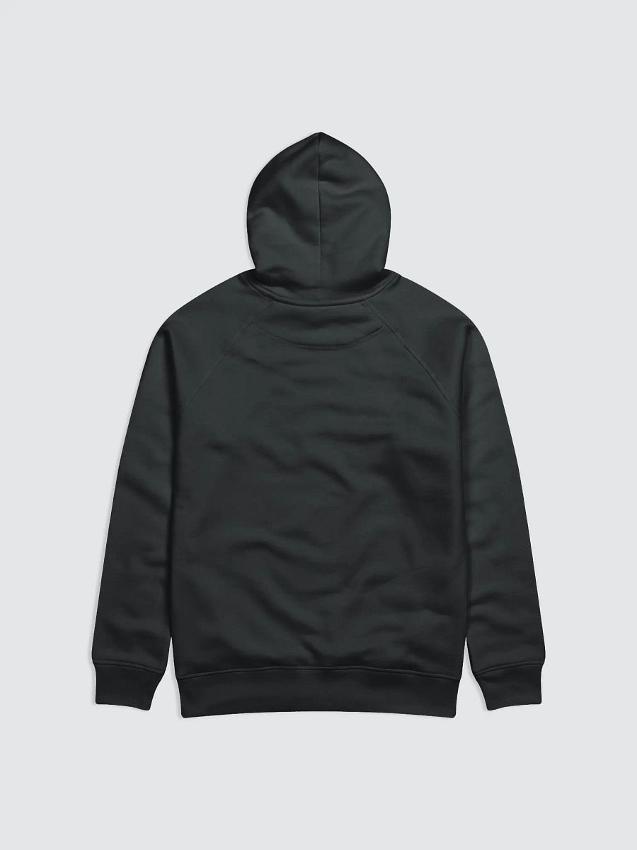 Power In the Blood | Organic Cotton | Hoodie Male product image (3)