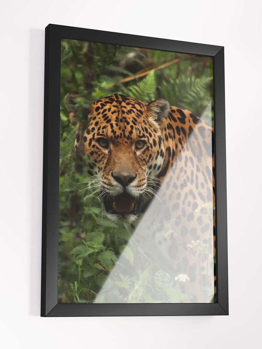 Jaguar Print product image (3)