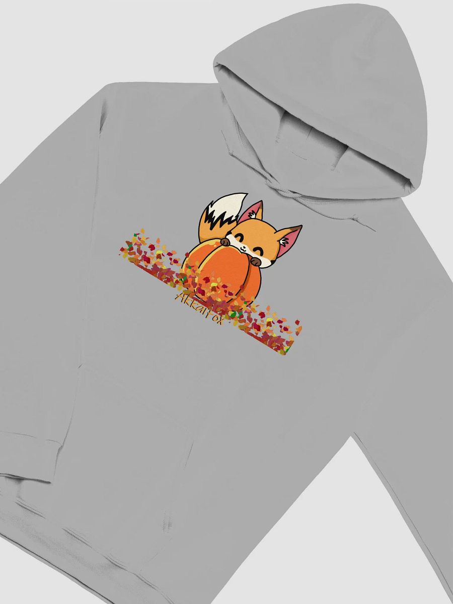 Fall - Pumpkin Hoodie product image (34)