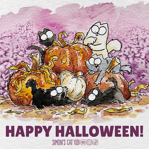 Happy Halloween! 😾🎃🦇