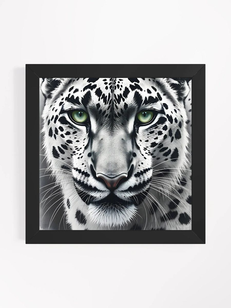 Snowleopard product image (1)