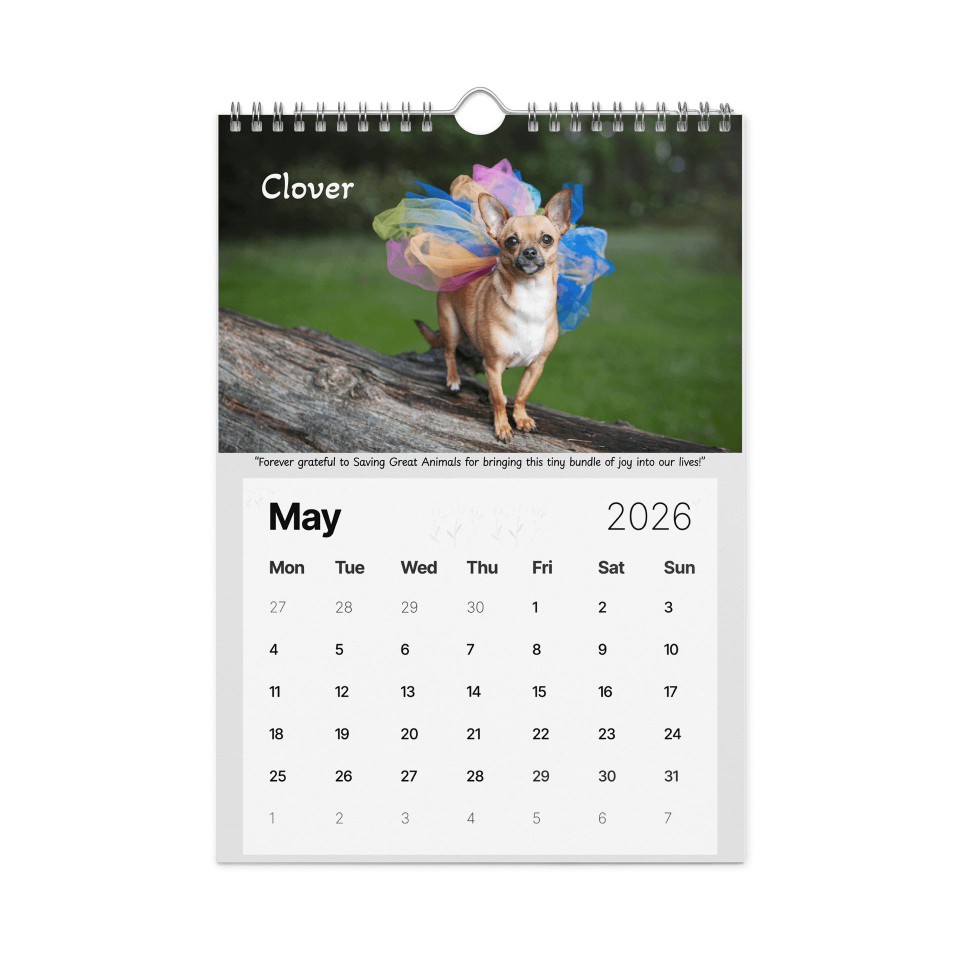 2026 Saving Great Animals Rescue Calendar product image (9)