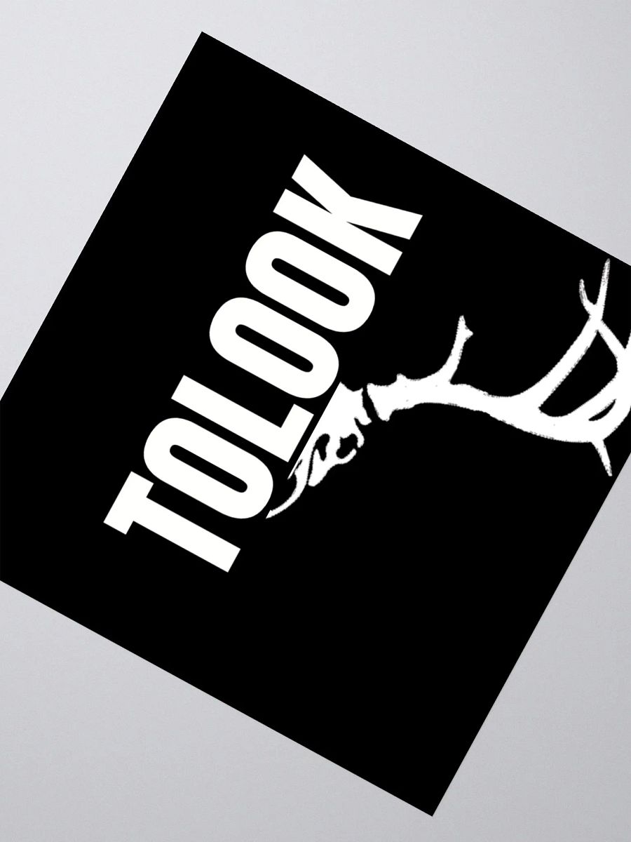 Tolook Logo Vinyl Stickers product image (2)
