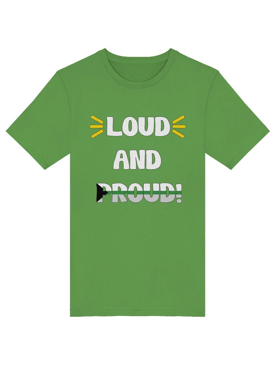 Loud and Proud Demiromantic T-Shirt product image (45)