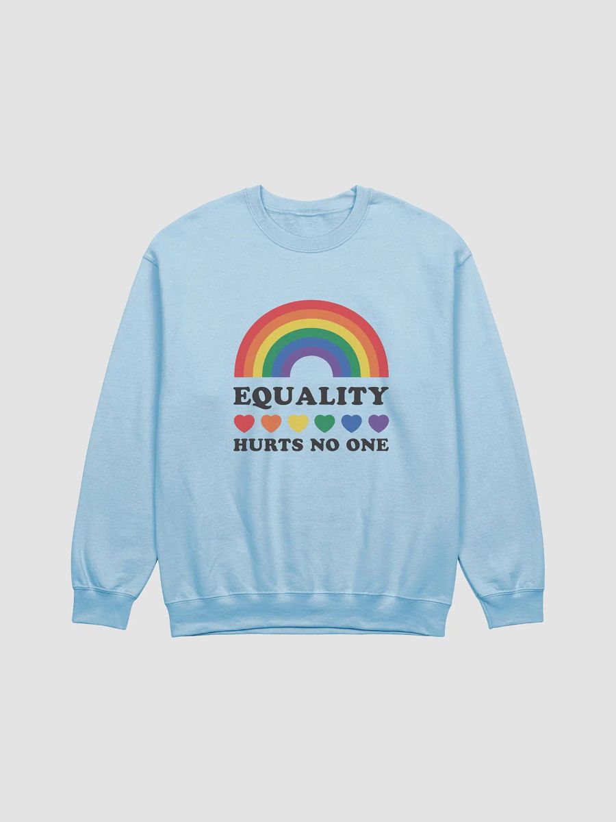 Equality Sweatshirt product image (9)