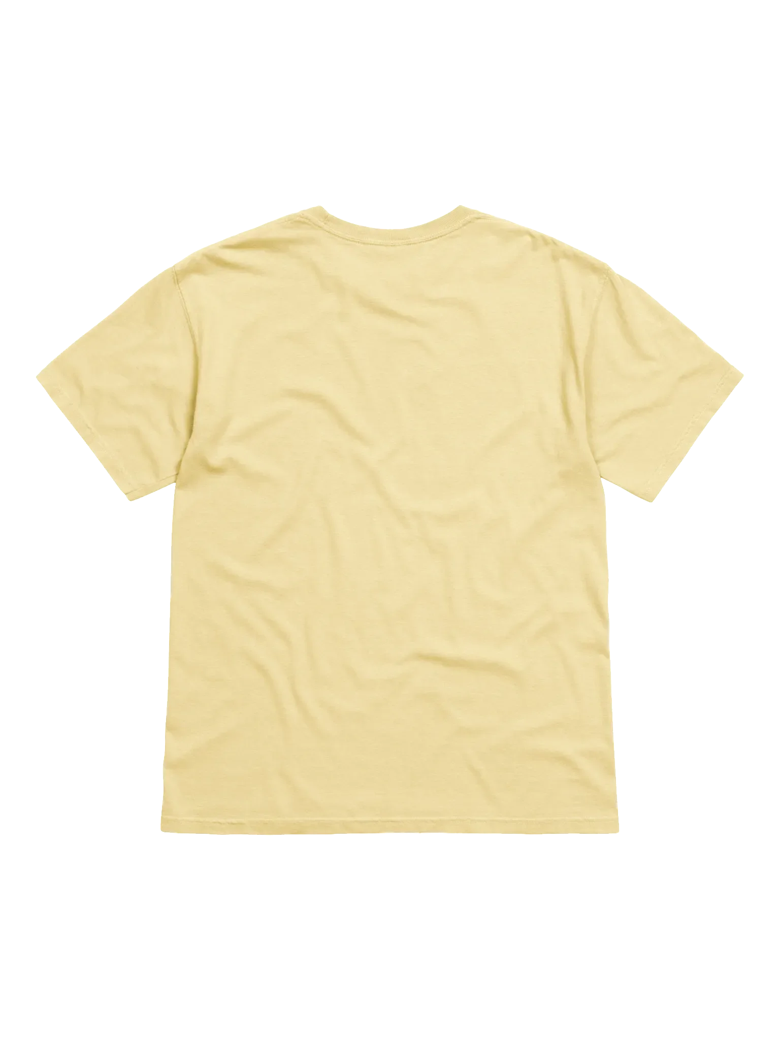 today is the day shirt (gentle) product image (2)