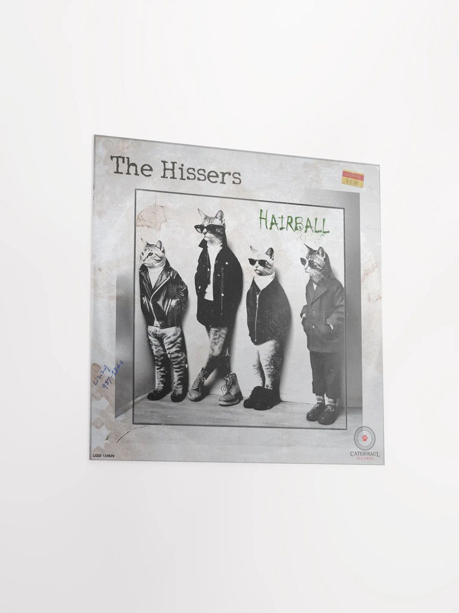 The Hissers poster - Album jacket (front) - 12