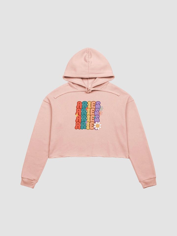 Aries Groovy Cropped Hoodie product image (1)