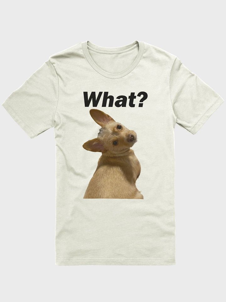 Say What? product image (11)
