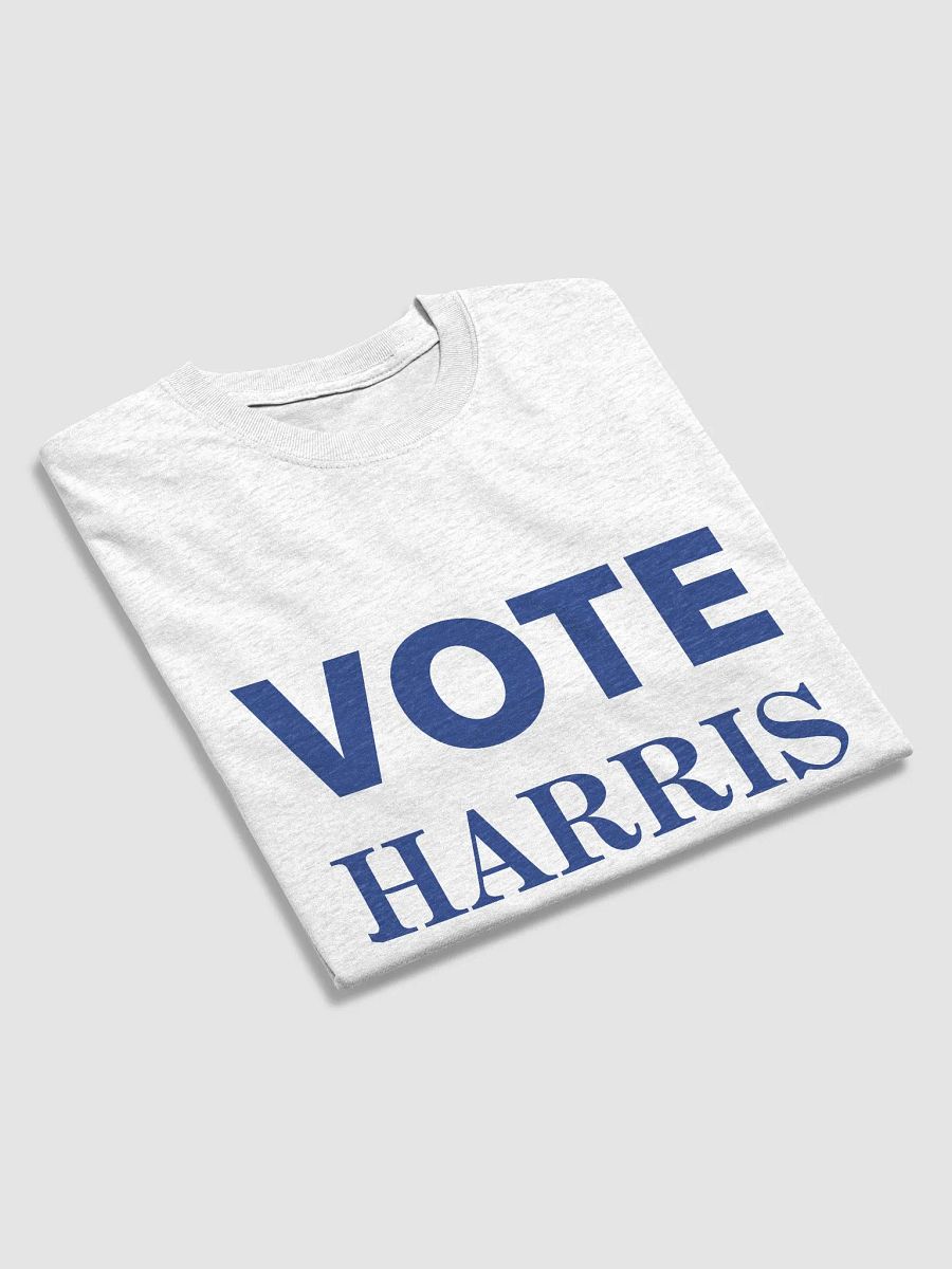 Vote Harris Heavyweight Tee product image (33)