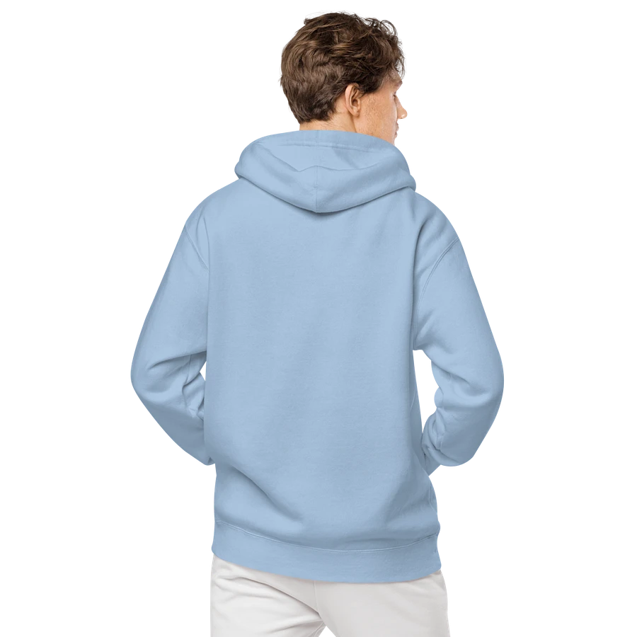 Camp Chaos 2024 Embroidered hoodie product image (4)