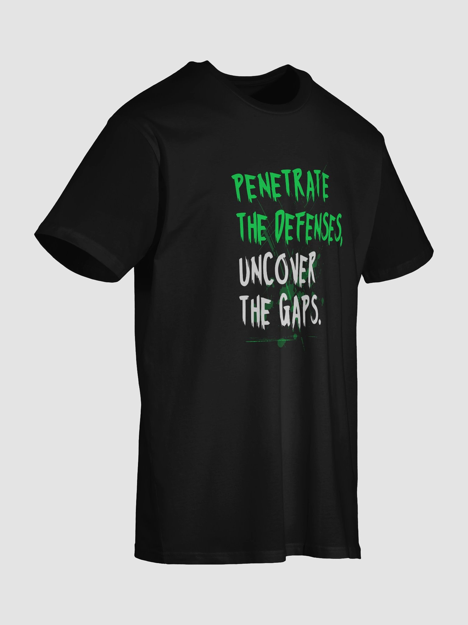 🛡️ Penetrate the Defenses, Uncover the Gaps product image (6)