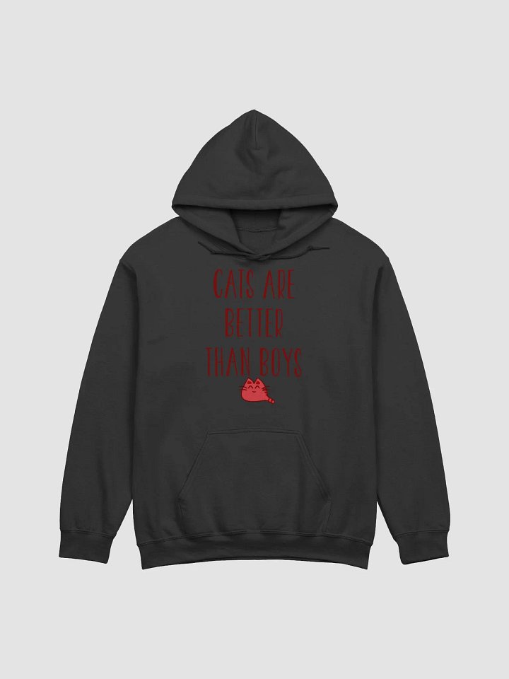 Cats are better than boys - hoodie product image (11)