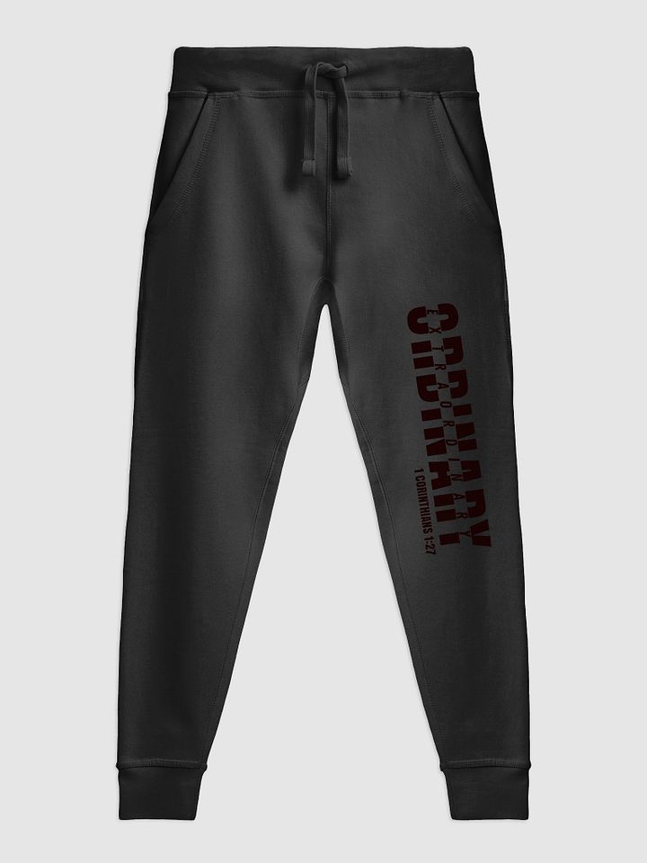 The Ordinary Joggers product image (2)