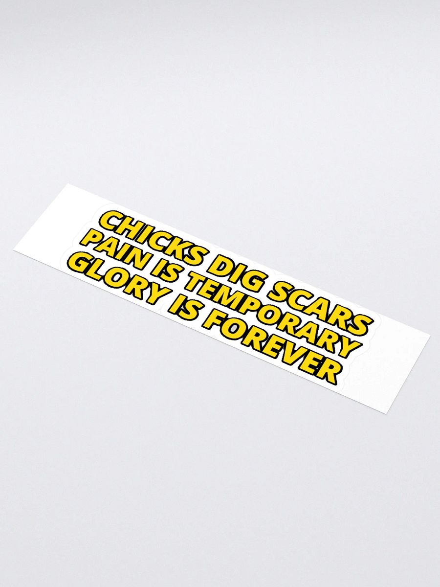 CHICKS DIG SCARS, PAIN IS TEMPORARY, GLORY IS FOREVER product image (1)