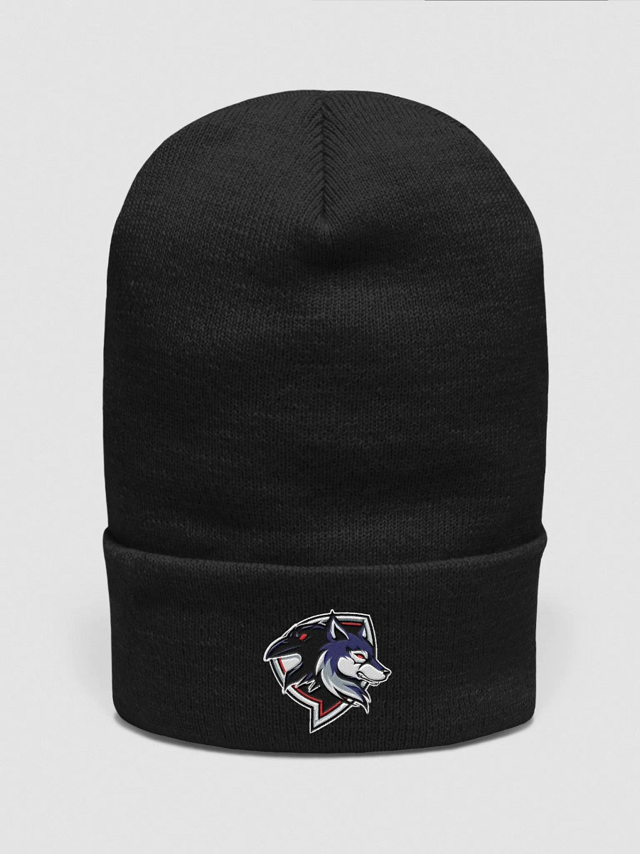 Raven Logo Beanie product image (2)