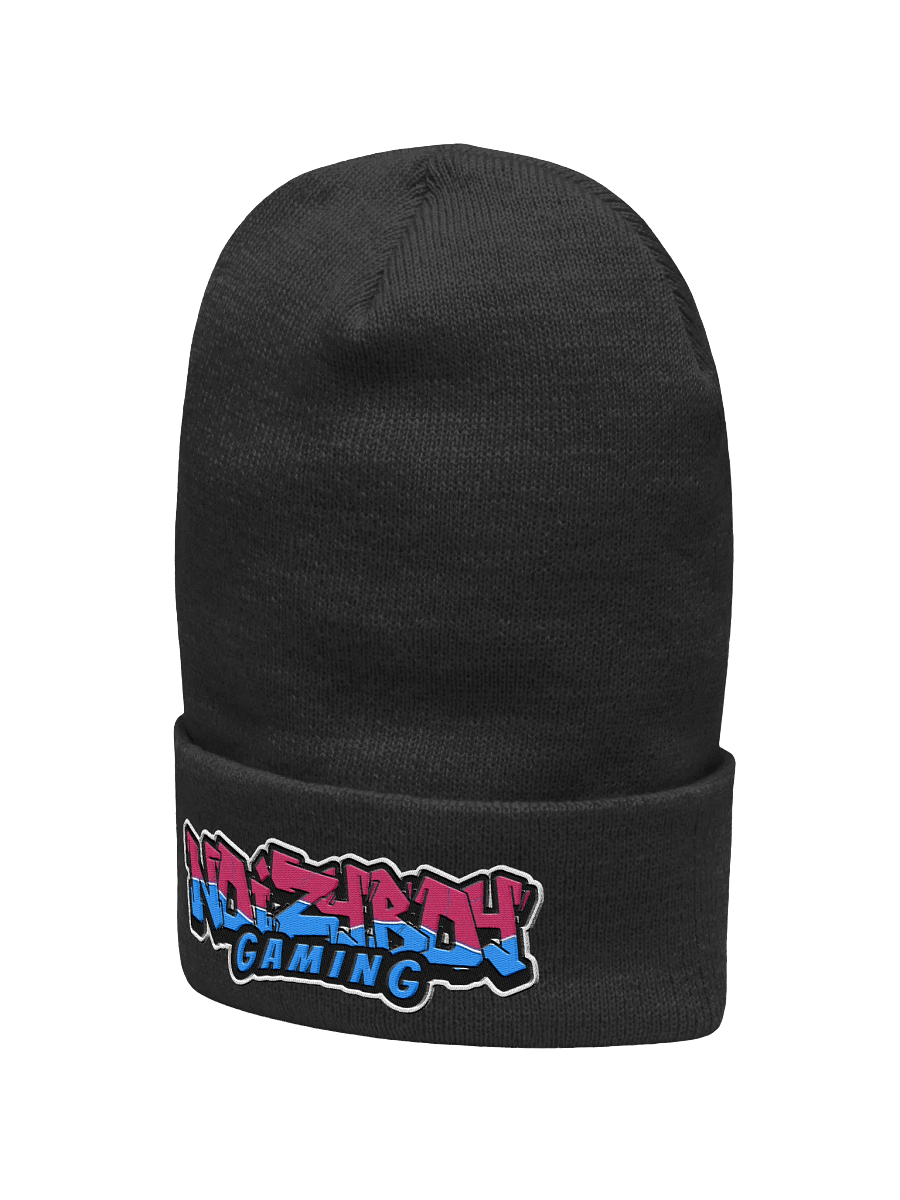 Noizyboy Beanie product image (4)