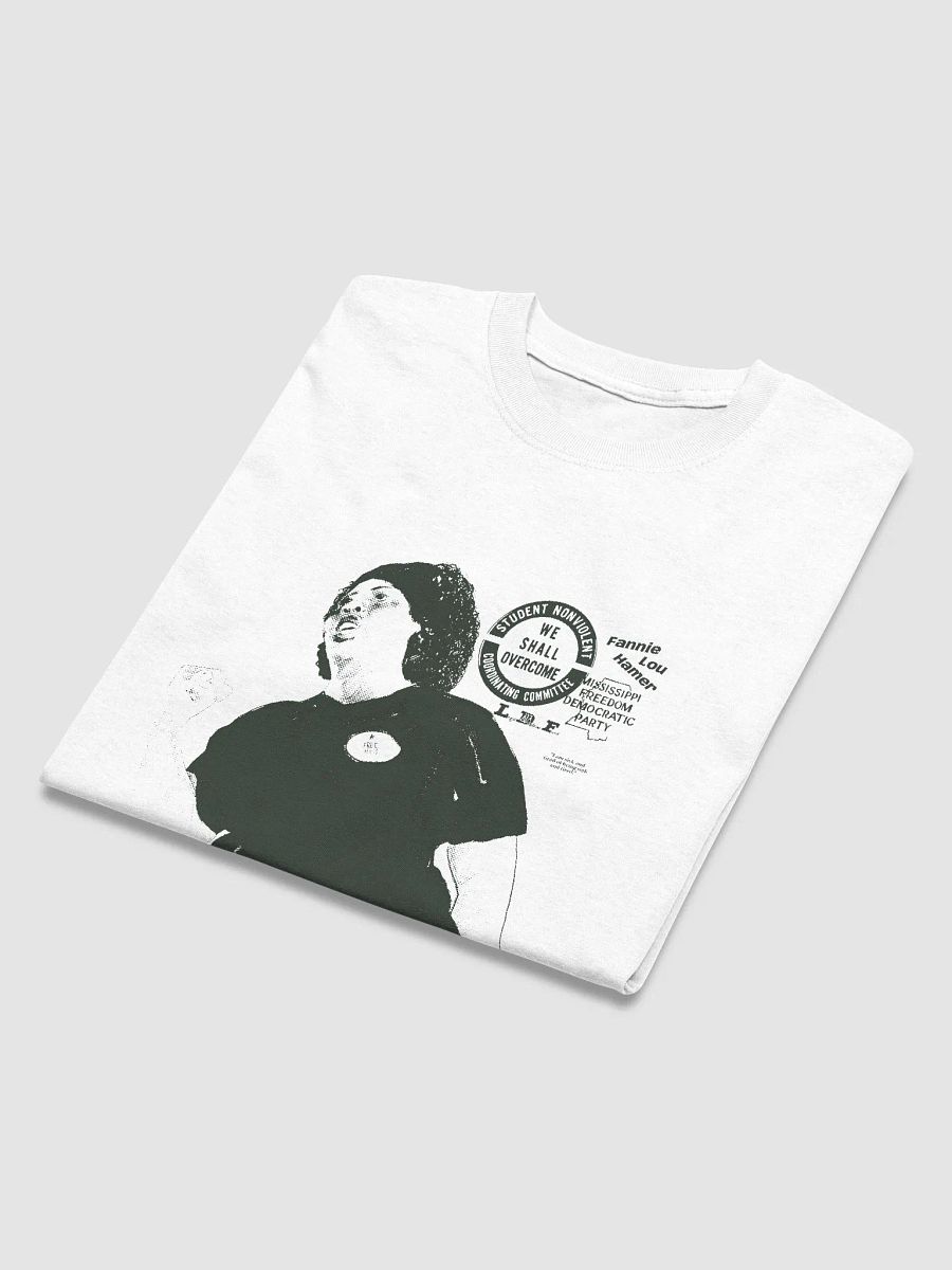 Ms. Fannie product image (6)