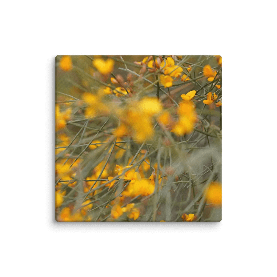 This Plant Canvas product image (1)