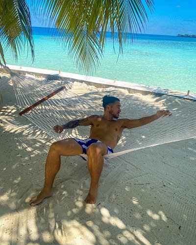 never did find the dolphins