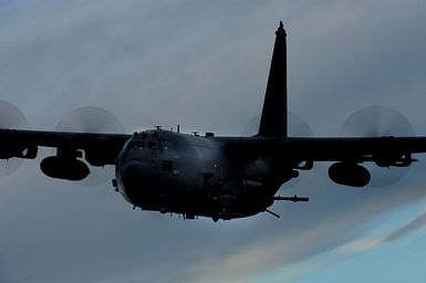 Honorary Hercules