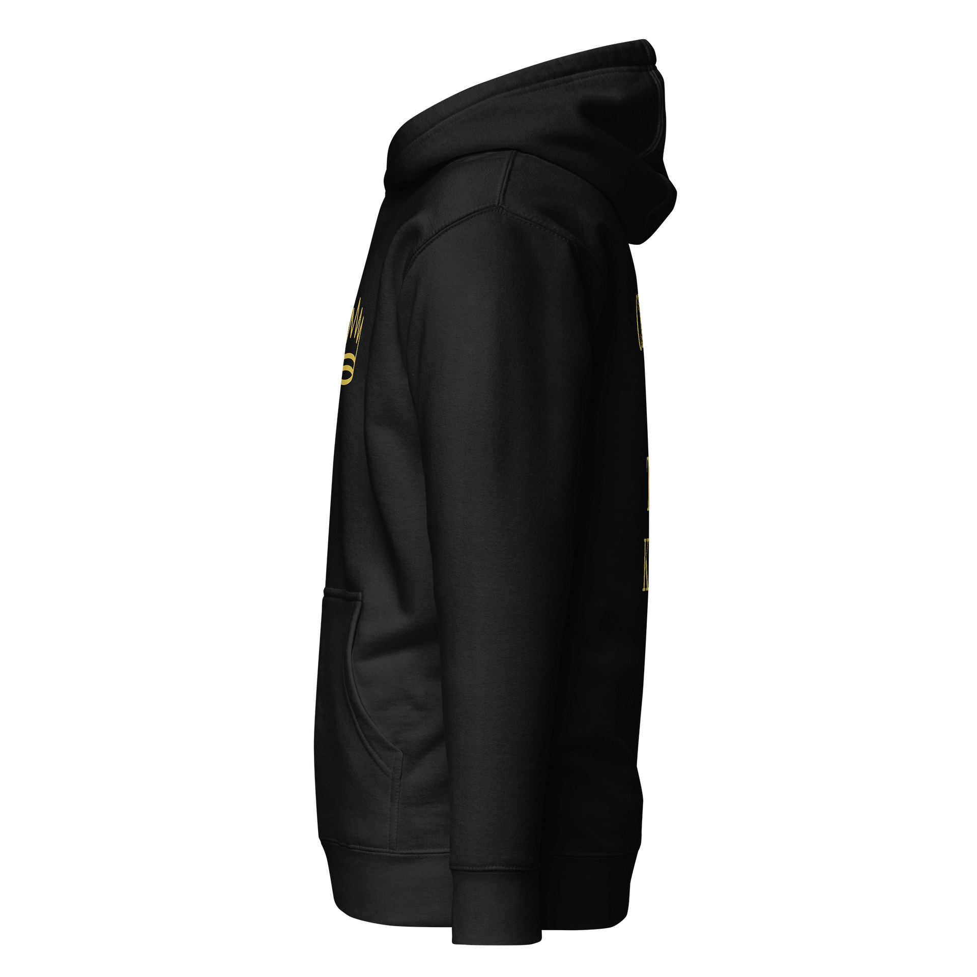 Child Of The King Premium Hoodie product image (4)