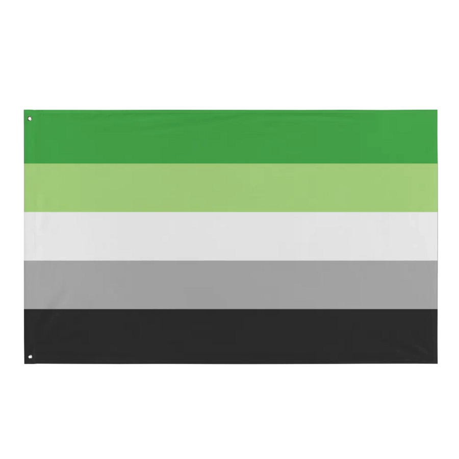 Aro Pride Flag product image (1)