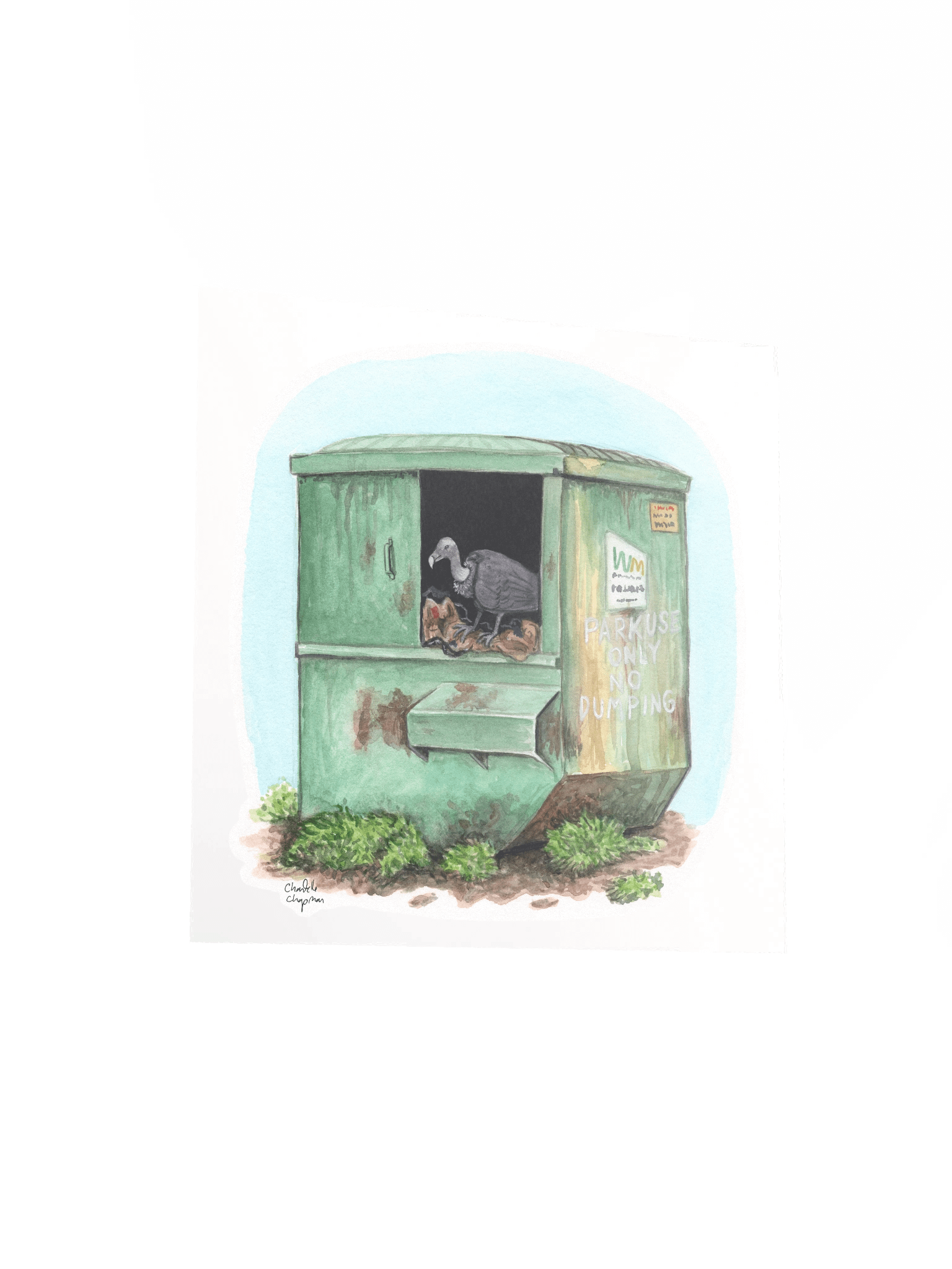 Dumpster Diving (Black Vulture) - Art Print product image (4)