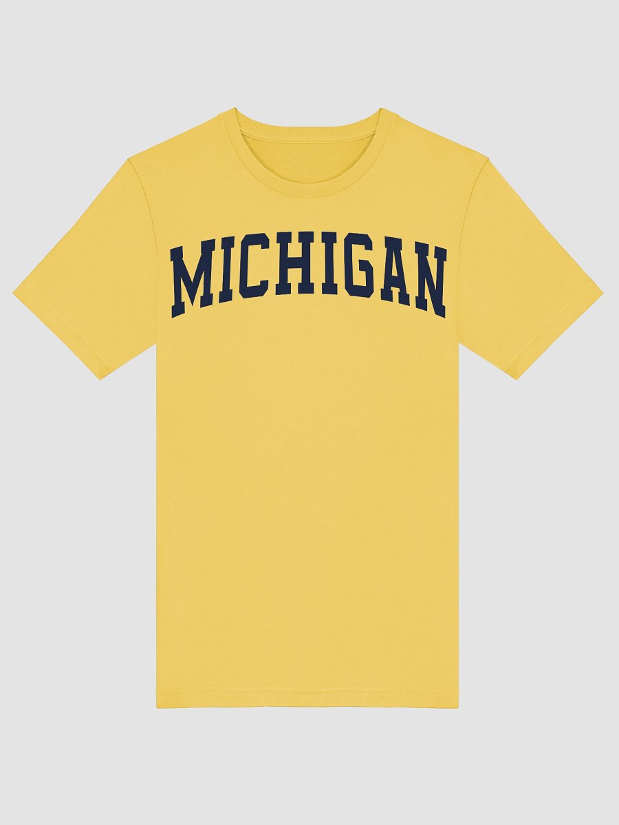 Michigan Vintage Stylish Supersoft Unisex T-Shirt product image (5)