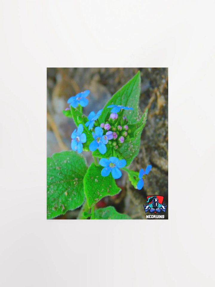 Flower Poster product image (1)
