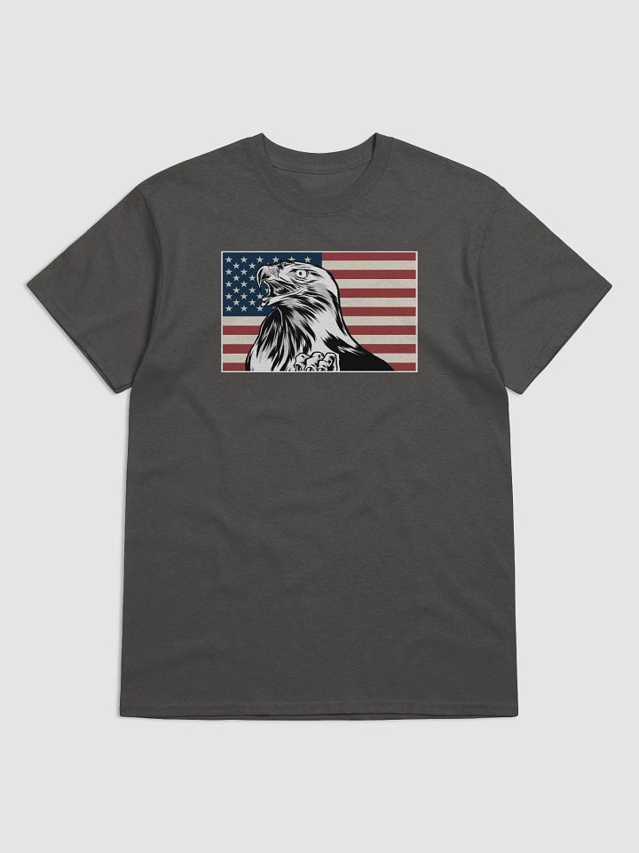 USA Eagle Heavyweight T-shirt product image (1)