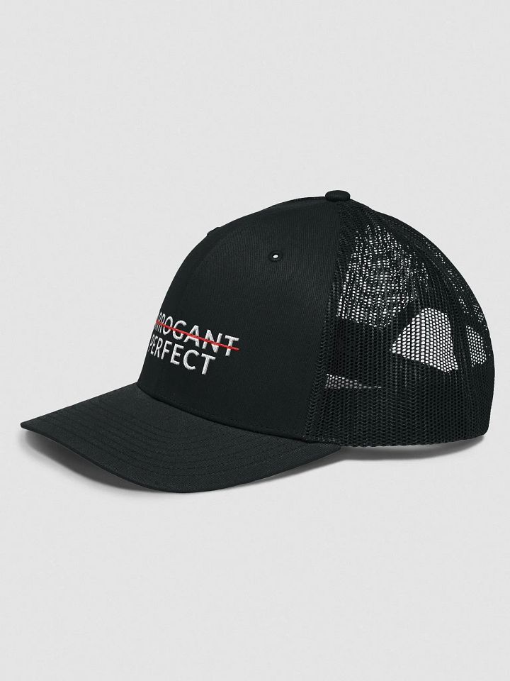 ARROGANT PERFECT - BREATHABLE CAP product image (2)