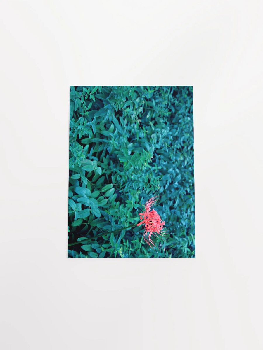 A Study in Flowers 10 product image (46)