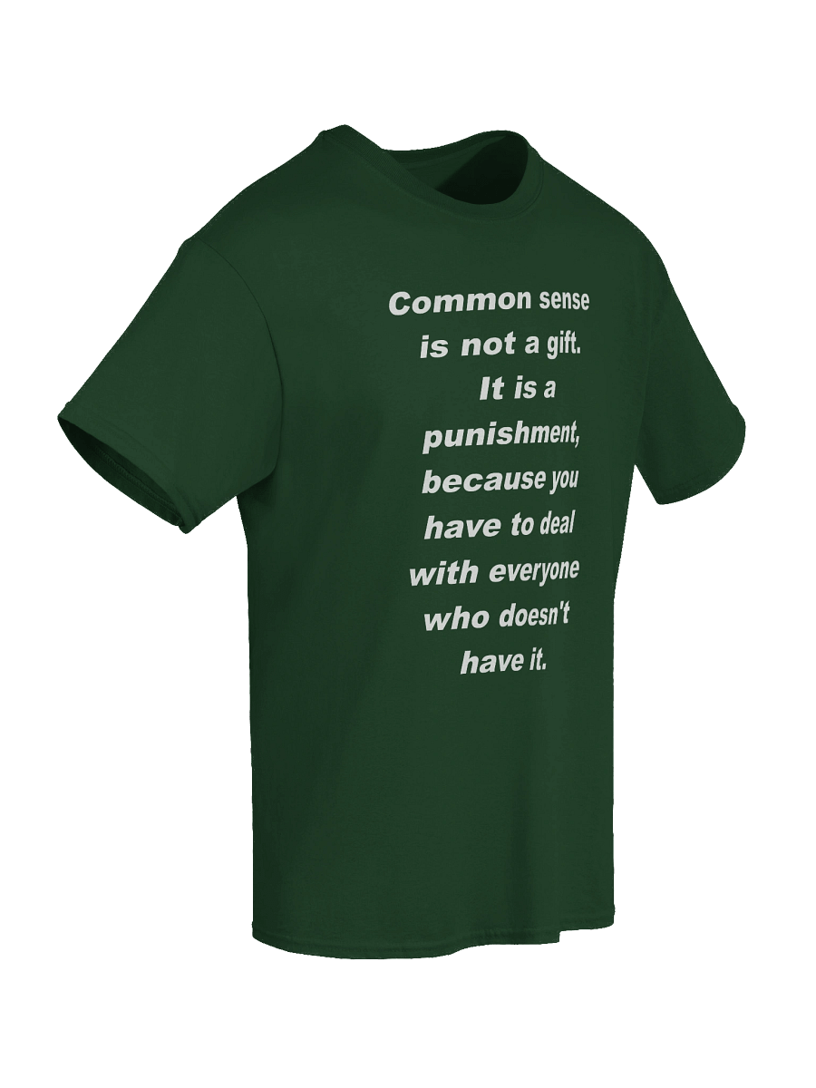 Common Sense product image (8)