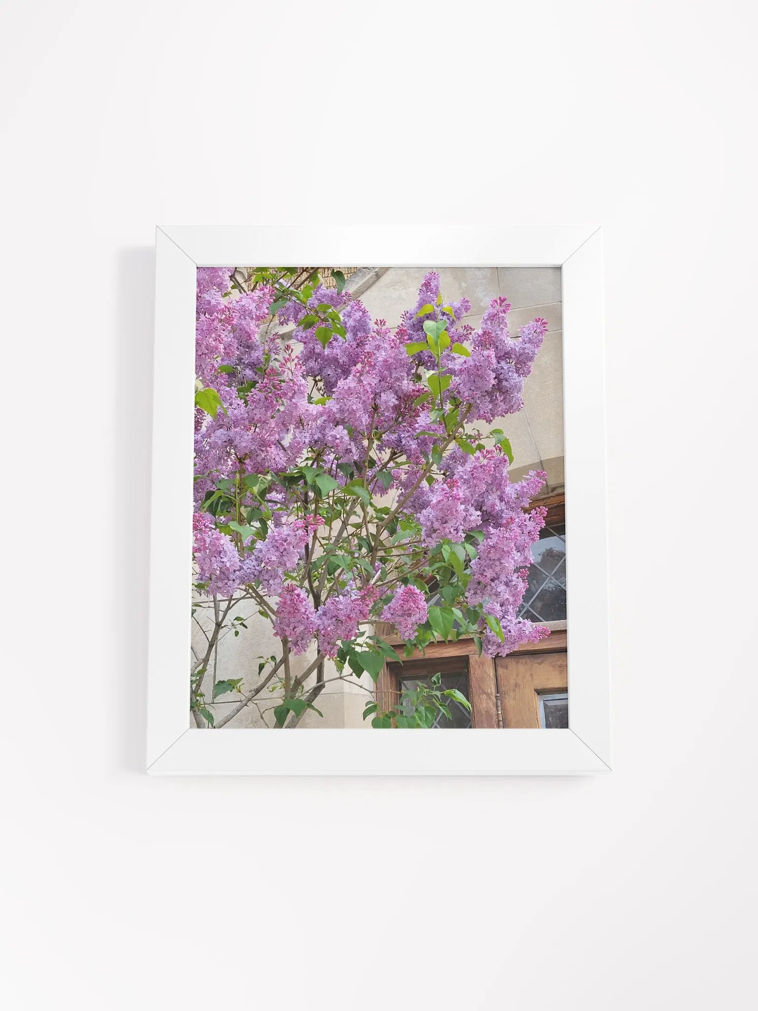 Lilac Serenity Framed Poster product image (1)