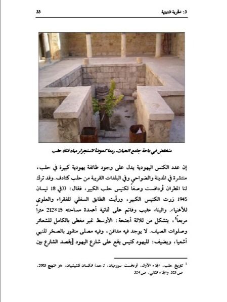 تاريخ اليهود في حلب - محمد حريتاني product image (5)