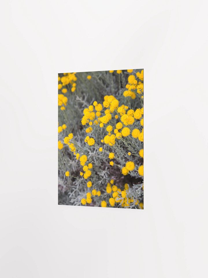Flores amarillas - Enhanced Matte Paper Poster product image (2)