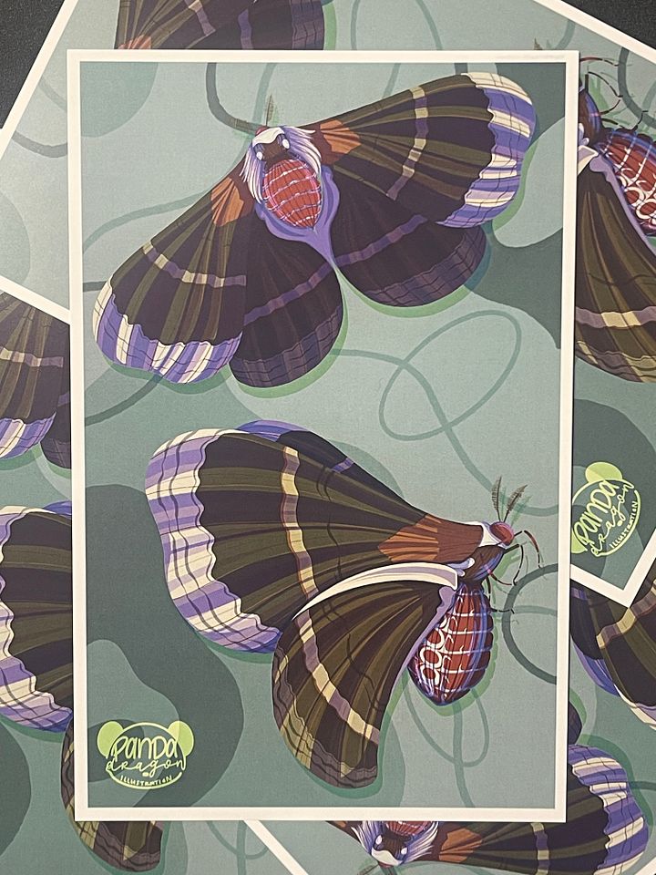 Moth Prints product image (1)