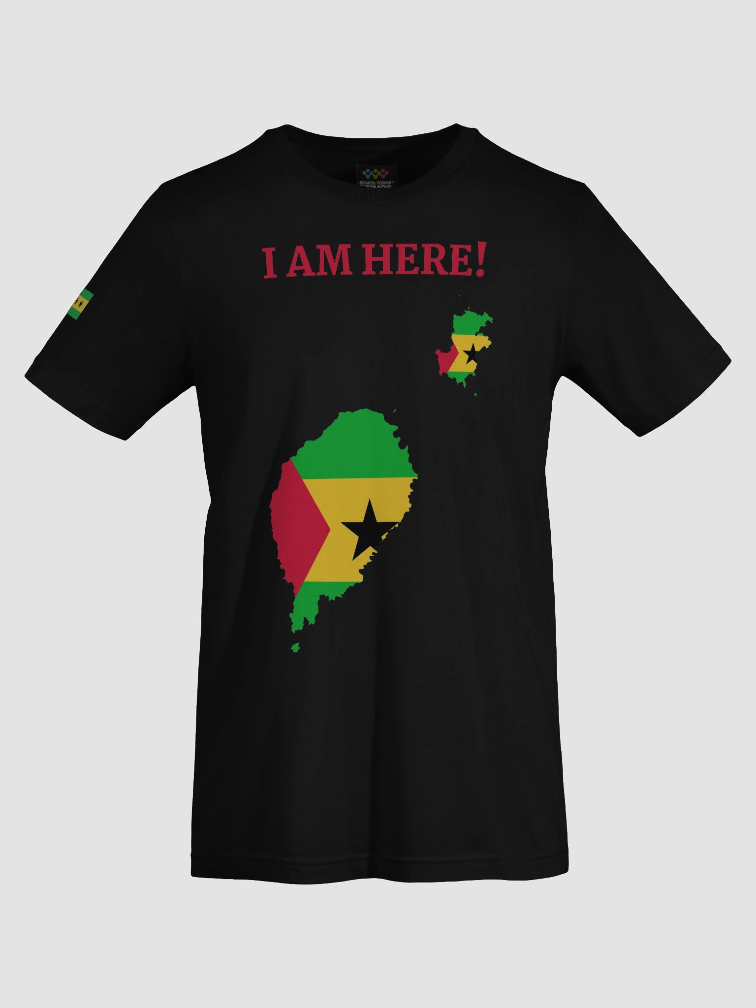 STP Lover – Women’s T-shirt product image (34)