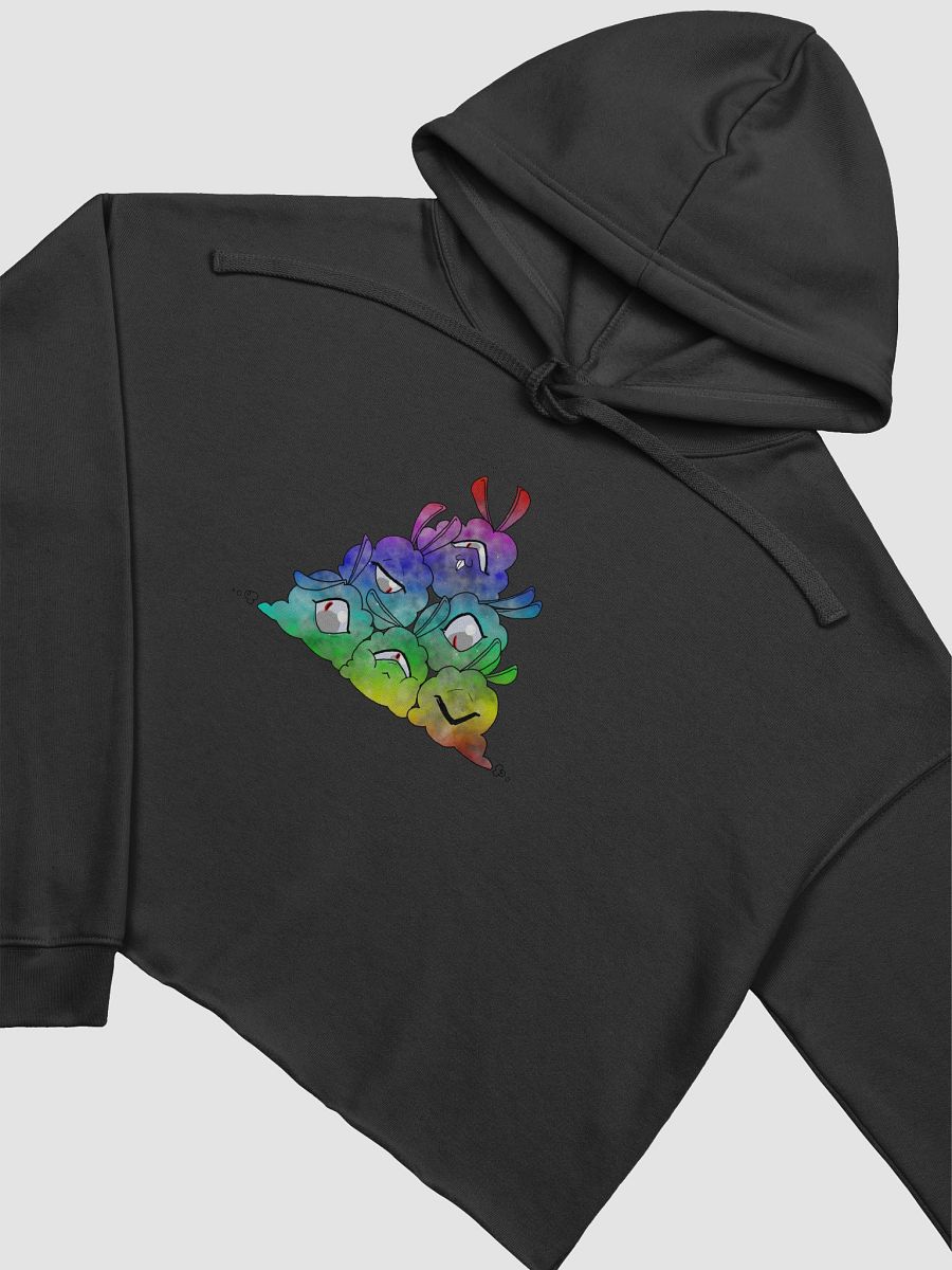 Starfluff Pride Crop Hoodie product image (3)