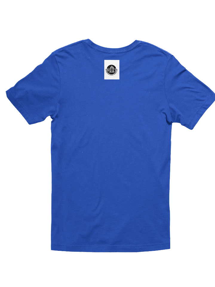 Born to Shine, Built to Soar - T-Shirt product image (47)