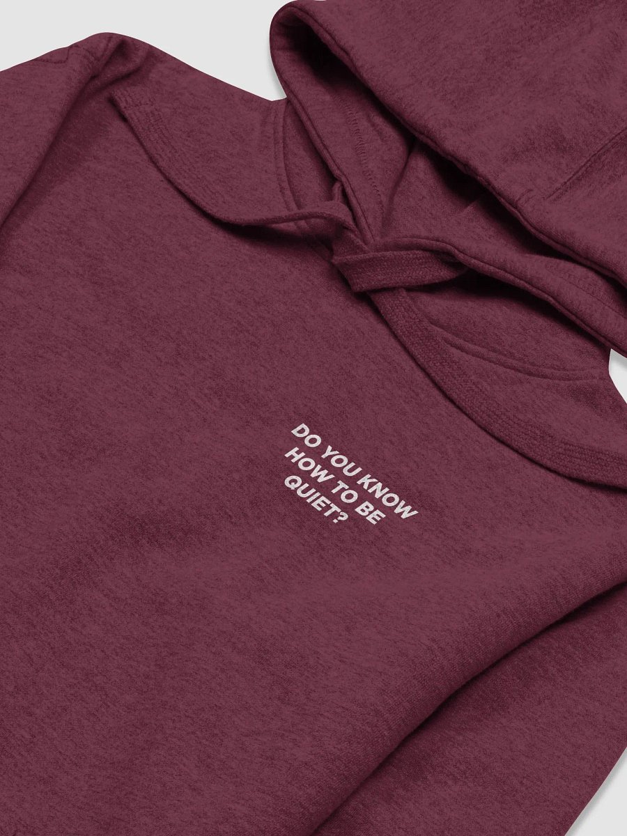 Do you know how to be Quiet? Hoodie (W) product image (2)